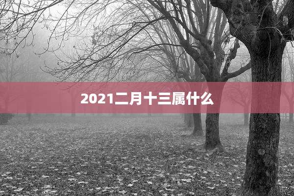2021二月十三属什么