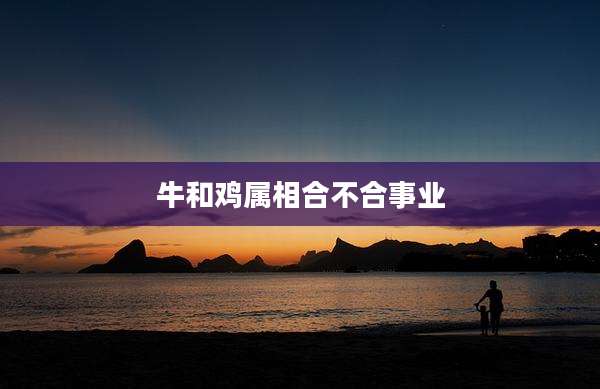 牛和鸡属相合不合事业