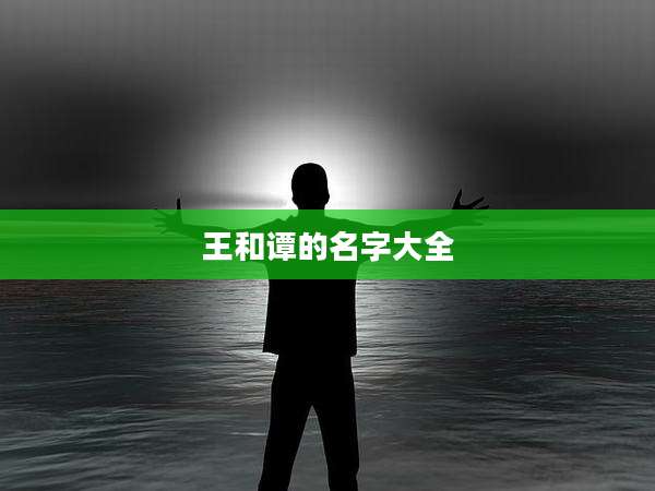 王和谭的名字大全