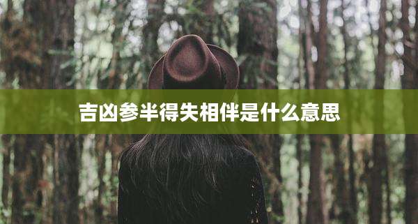 吉凶参半得失相伴是什么意思