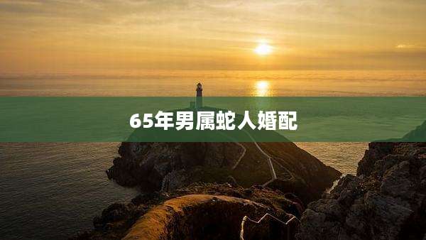 65年男属蛇人婚配