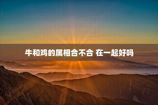 牛和鸡的属相合不合 在一起好吗
