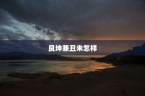 艮坤兼丑未怎样