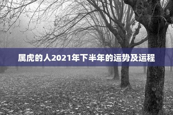 属虎的人2021年下半年的运势及运程