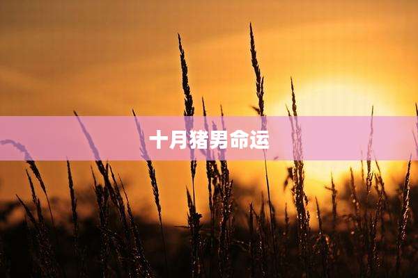 十月猪男命运