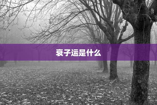 衰子运是什么