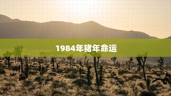 1984年猪年命运