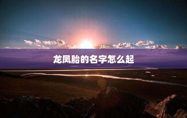 龙凤胎的名字怎么起