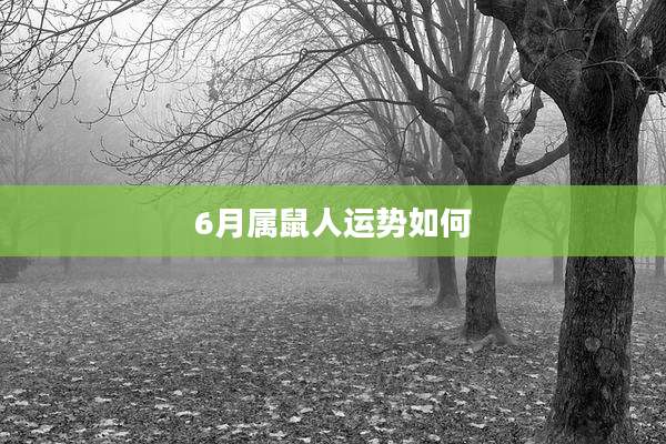 6月属鼠人运势如何