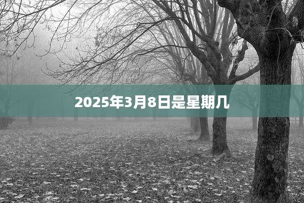 2025年3月8日是星期几