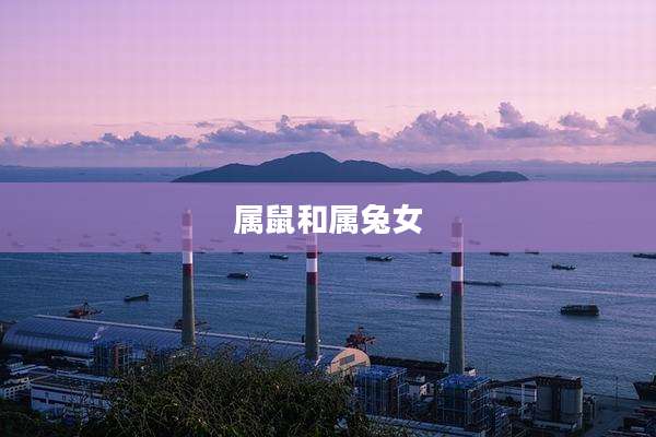 属鼠和属兔女