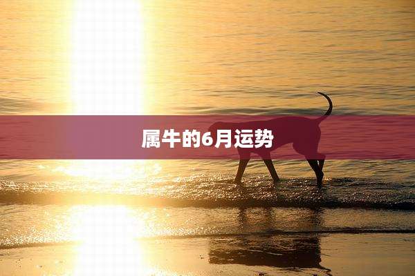 属牛的6月运势