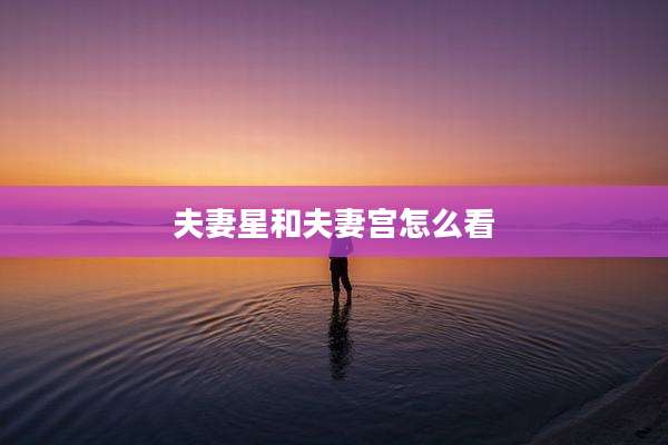 夫妻星和夫妻宫怎么看