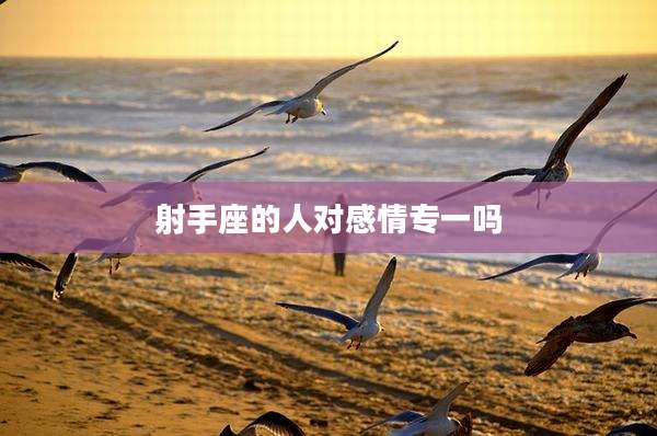 射手座的人对感情专一吗