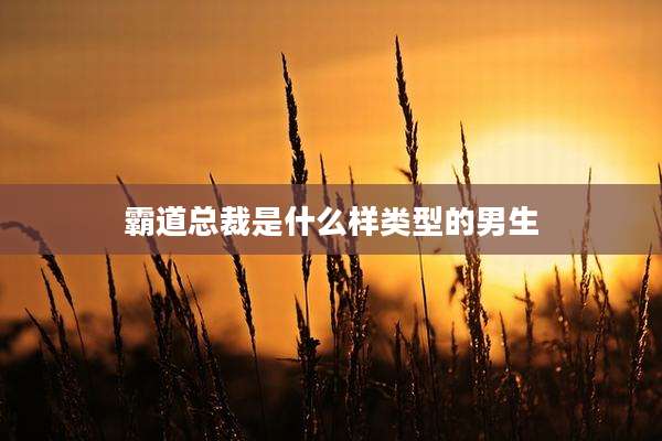 霸道总裁是什么样类型的男生