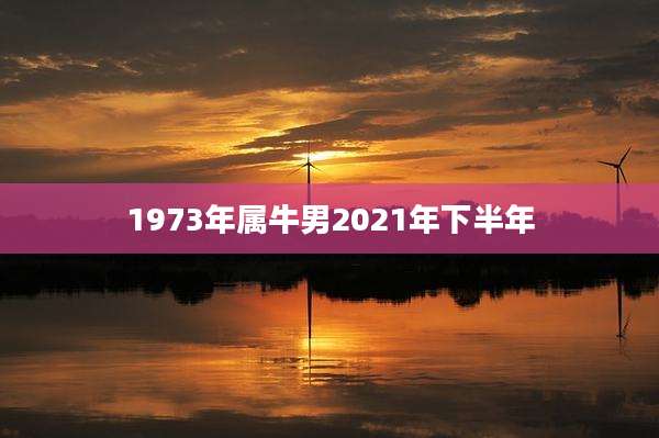 1973年属牛男2021年下半年