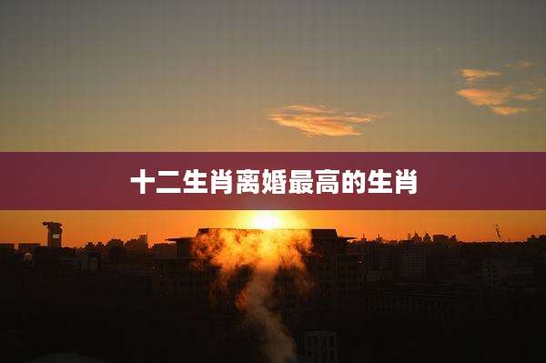 十二生肖离婚最高的生肖