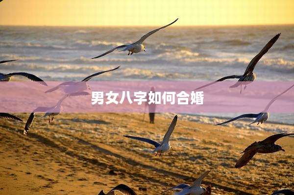 男女八字如何合婚