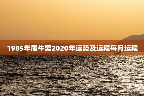 1985年属牛男2020年运势及运程每月运程