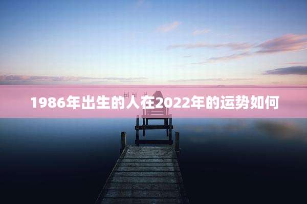 1986年出生的人在2022年的运势如何
