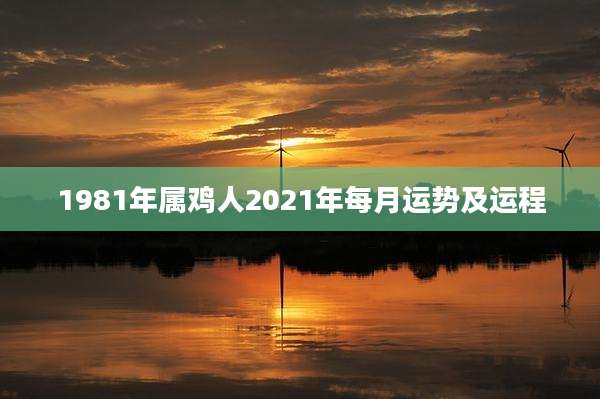 1981年属鸡人2021年每月运势及运程
