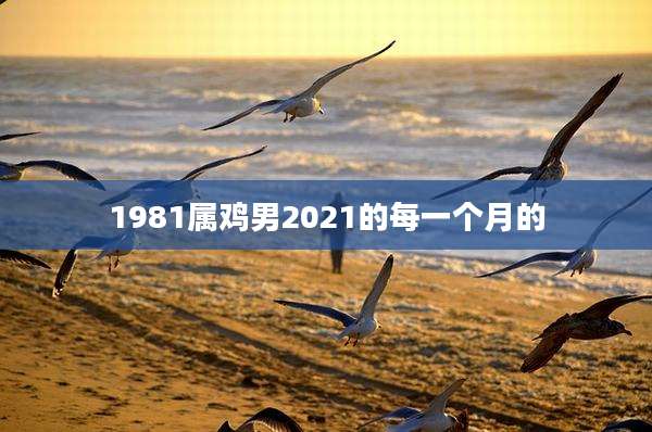 1981属鸡男2021的每一个月的