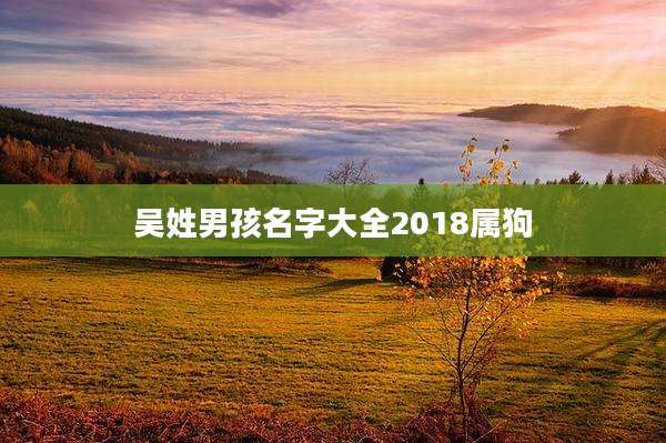 吴姓男孩名字大全2018属狗