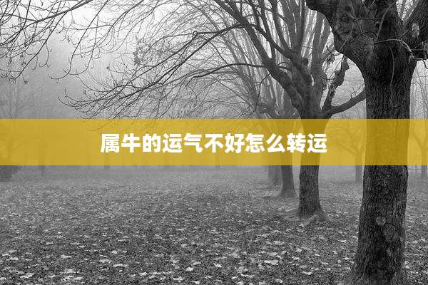 属牛的运气不好怎么转运