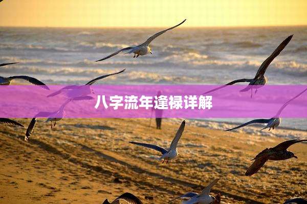 八字流年逢禄详解