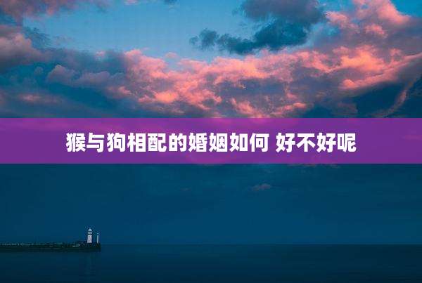 猴与狗相配的婚姻如何 好不好呢