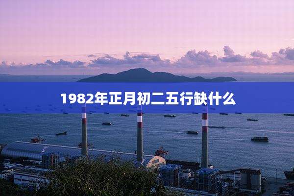 1982年正月初二五行缺什么