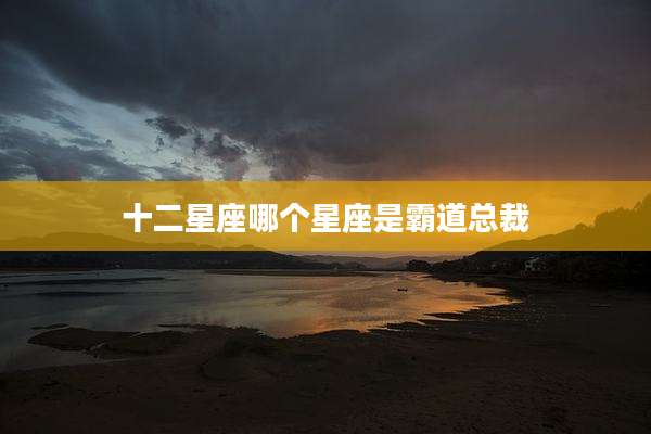 十二星座哪个星座是霸道总裁