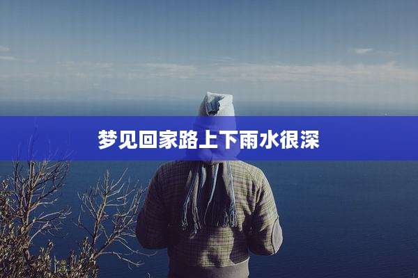 梦见回家路上下雨水很深