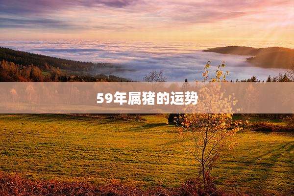 59年属猪的运势