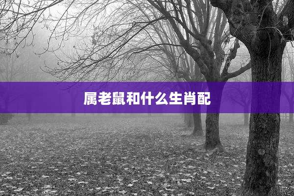 属老鼠和什么生肖配