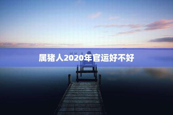 属猪人2020年官运好不好