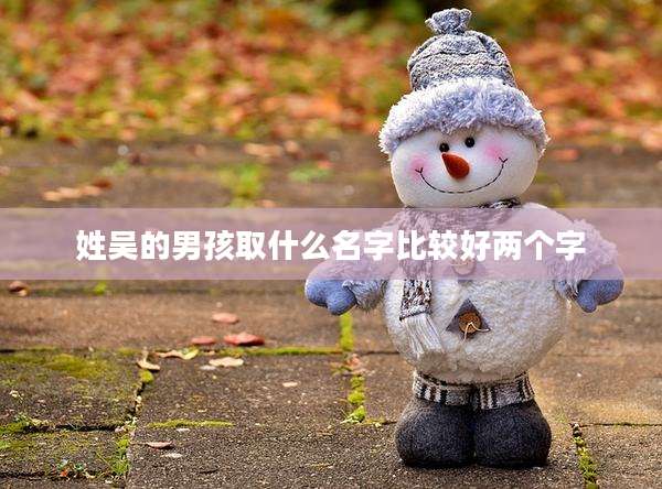 姓吴的男孩取什么名字比较好两个字