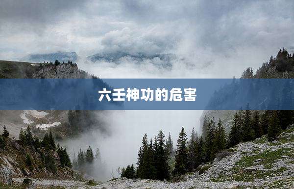 六壬神功的危害