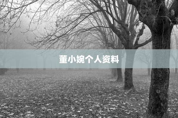 董小婉个人资料