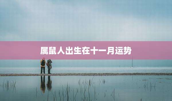 属鼠人出生在十一月运势