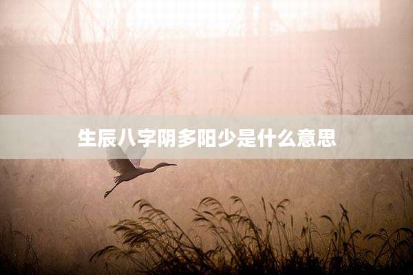 生辰八字阴多阳少是什么意思