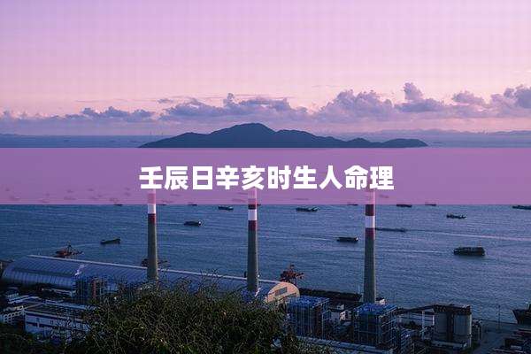 壬辰日辛亥时生人命理