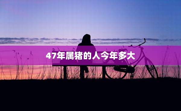 47年属猪的人今年多大