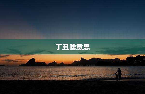 丁丑啥意思