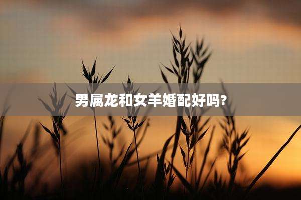 男属龙和女羊婚配好吗?