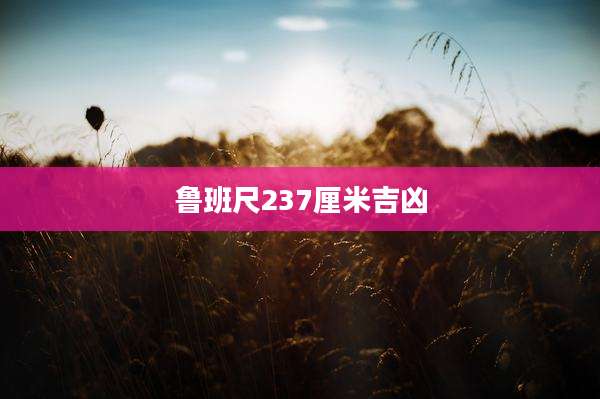 鲁班尺237厘米吉凶