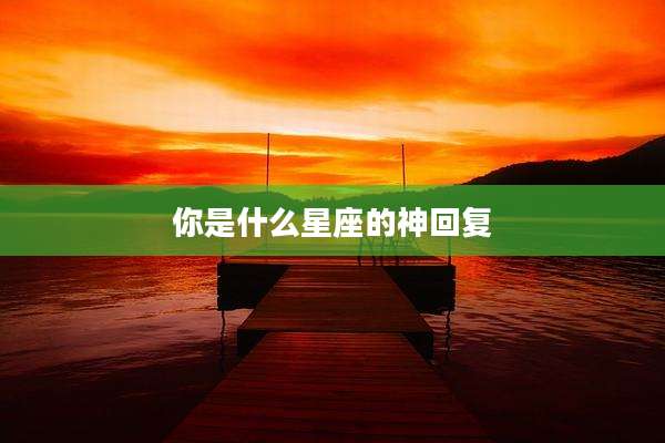 你是什么星座的神回复