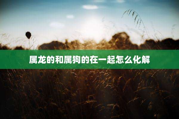 属龙的和属狗的在一起怎么化解