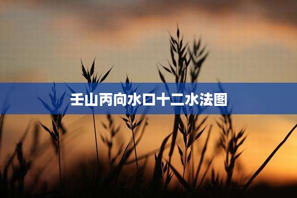 壬山丙向水口十二水法图