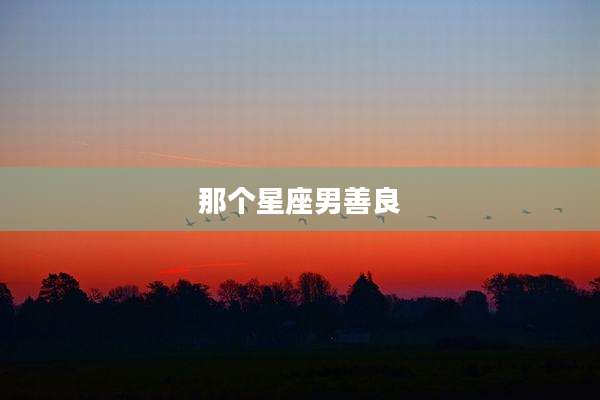 那个星座男善良